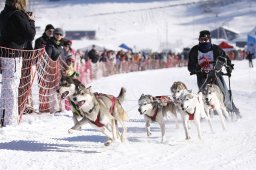 Lenk 2013
